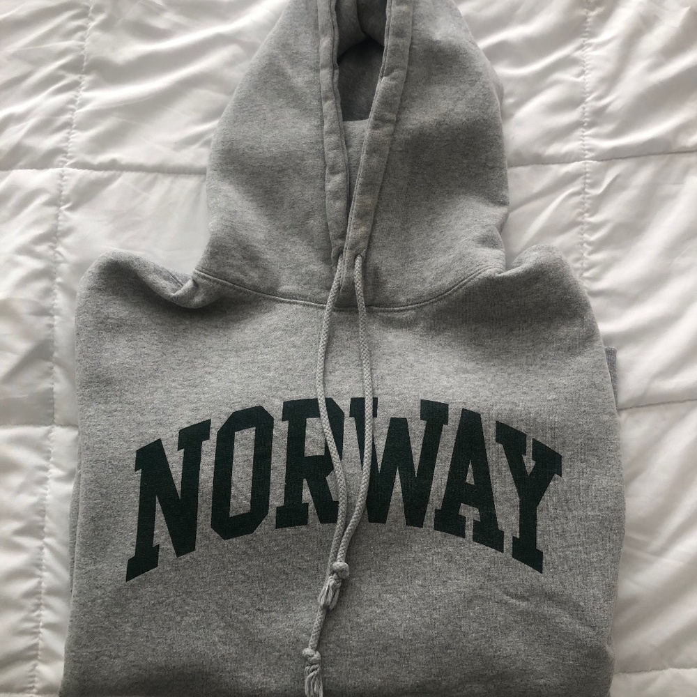 Womens Gray Brandy Melville Hoodie Sweatshirt (OS)